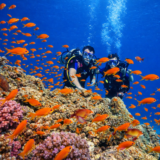 First Time Diving in Hurghada: Everything You Need to Know!