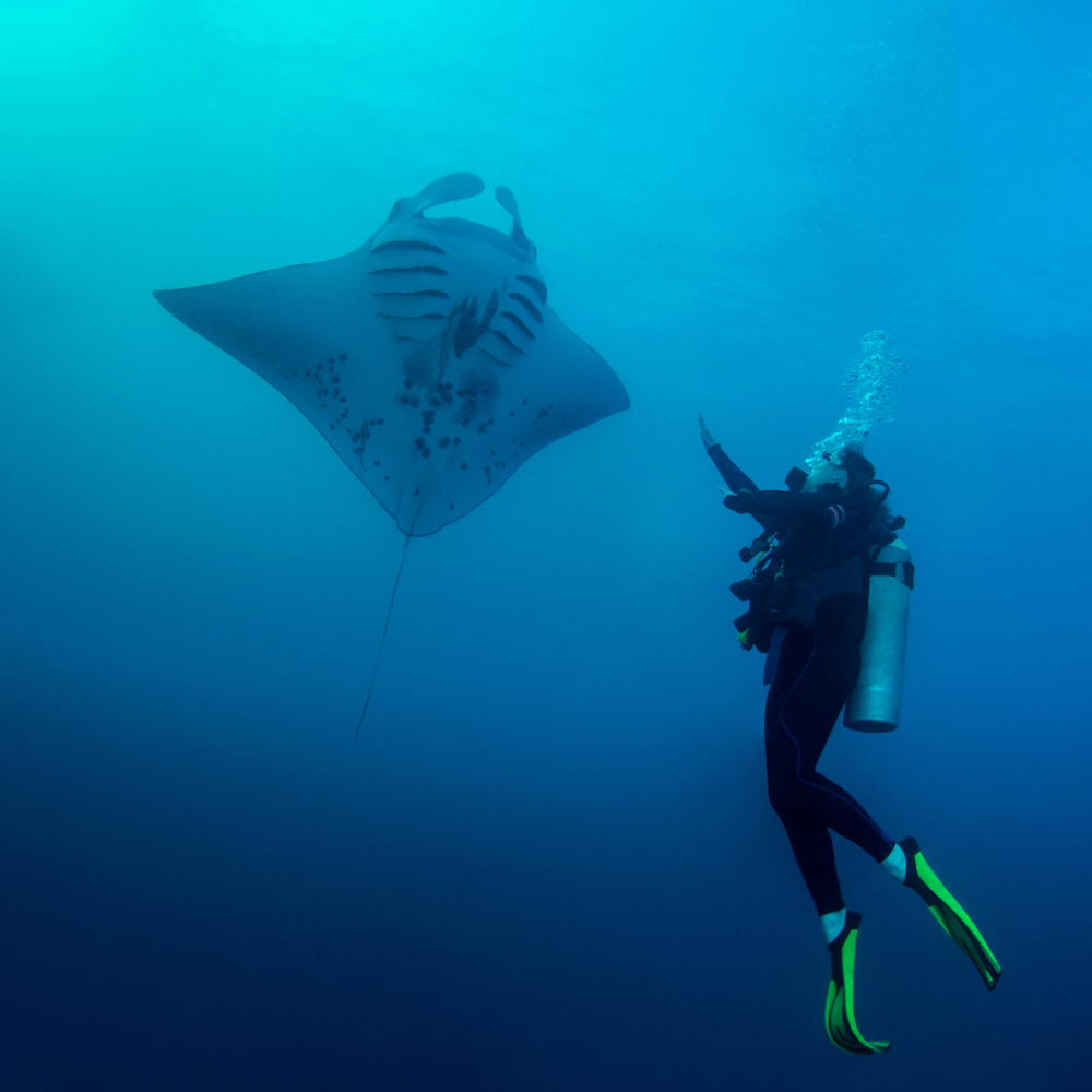 ENRICHED AIR NITROX - STAY LONGER, FEEL MORE COMFORTABLE UNDERWATER | 1 DAY