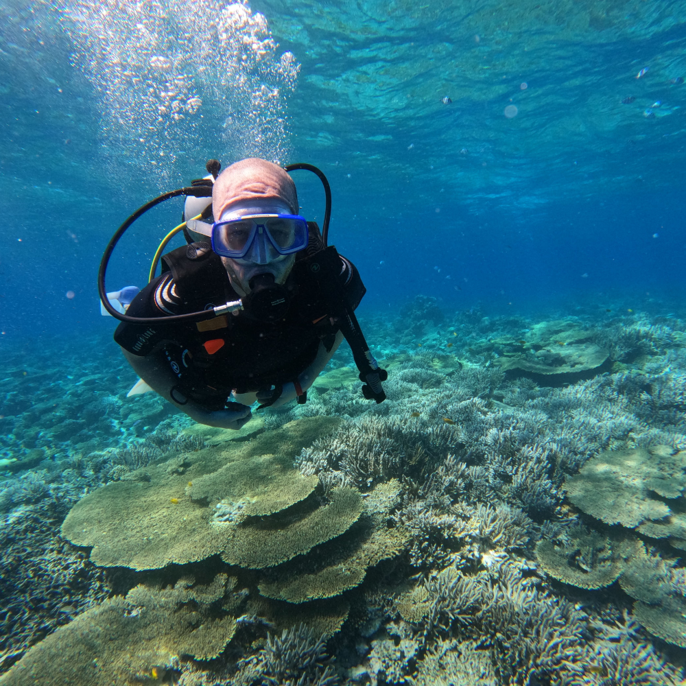 Student diver on the reef in Hurghada